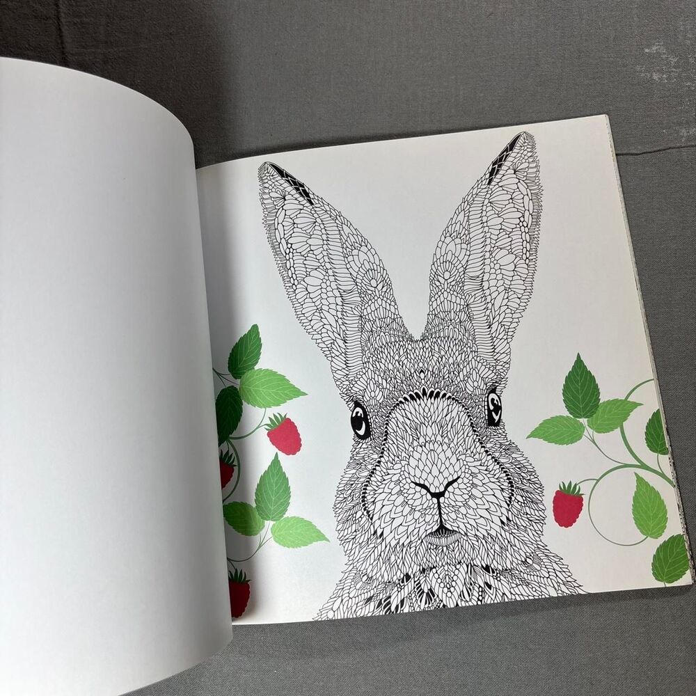 multi Books - Picture 5 of 8